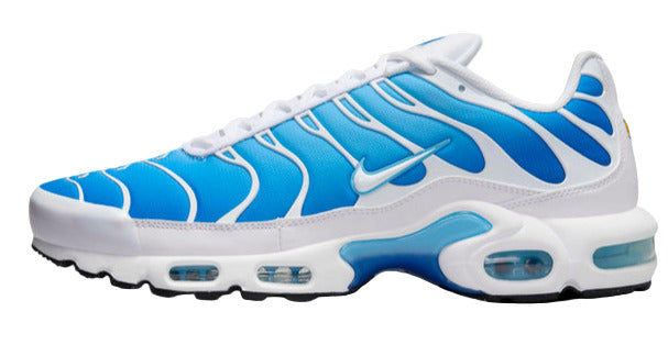 Nike Air Max TN Plus Blue